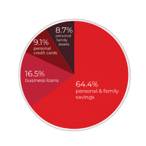 chart that shows the statistics of how business owners get funding for their ventures.